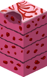 Barrel TheKingofTrash /Barrel_693.png